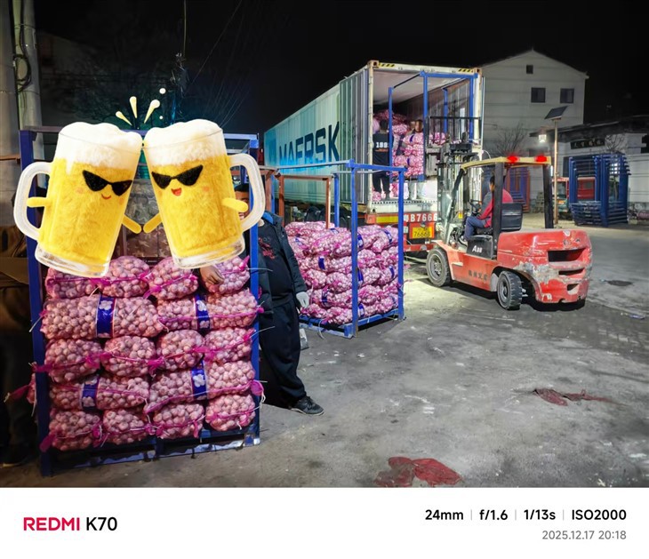 Normal White Garlic 10 Kilos 1 Box factory