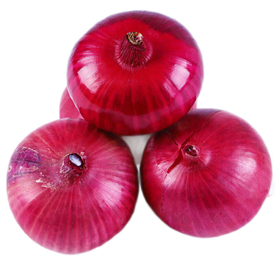 Premium Organic Fresh Red Yellow Onions best