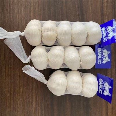 Wholesale Sale Of Normal White Garlic Wholesale Sale Of Normal White Garlic