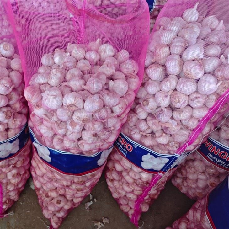 fresh garlic with mesh bag best