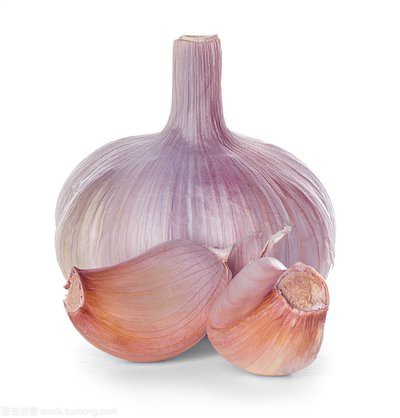 Wholesale Normal White Garlic best