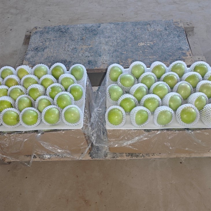 Wholesale Premium Green Apple Gala Apples high quality