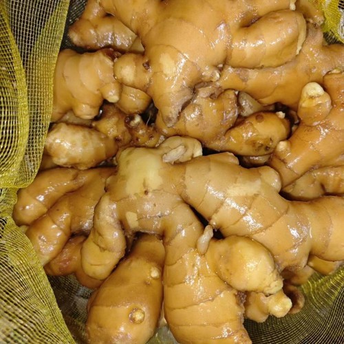 news-800-800 news-800-800