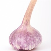 nòmal blan lay koulè wouj violèt lay