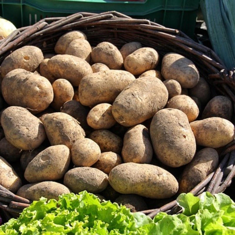 food-3269905640 food-3269905640