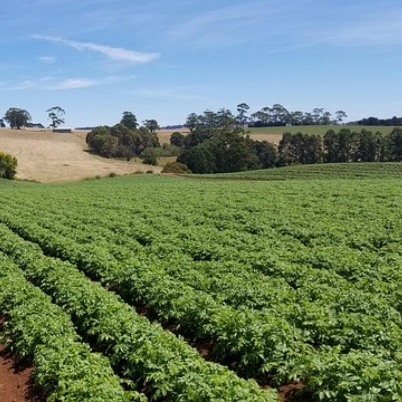 agriculture-3126967640 agriculture-3126967640