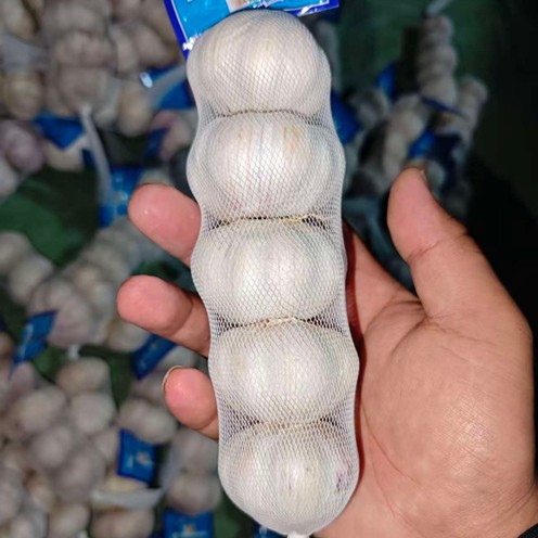 2025092808445859722 2025092808445859722