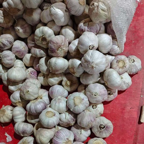 2025092715324258722 2025092715324258722