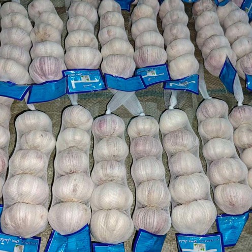 2025092715324058422 2025092715324058422