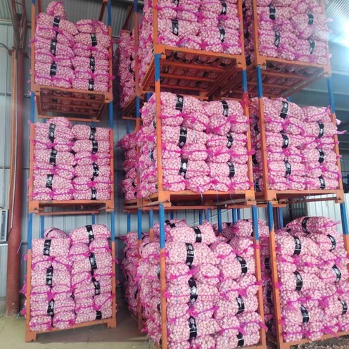 2025092208205039522 2025092208205039522