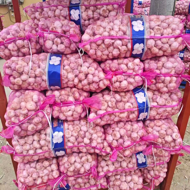 2025102410590374322 2025102410590374322