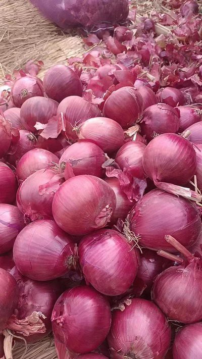 t0496199bfc6c6e6040 t0496199bfc6c6e6040