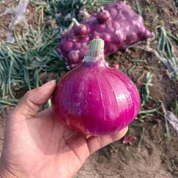 t040855c7e6a31c8b9f t040855c7e6a31c8b9f