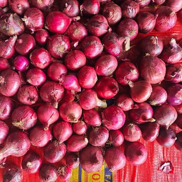 5f8a27bf0de4a12f80958b9ea1acce1a 5f8a27bf0de4a12f80958b9ea1acce1a