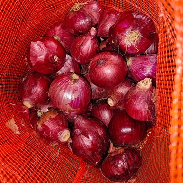 2a310f6145480413ce555d0f1f71cfc 2a310f6145480413ce555d0f1f71cfc