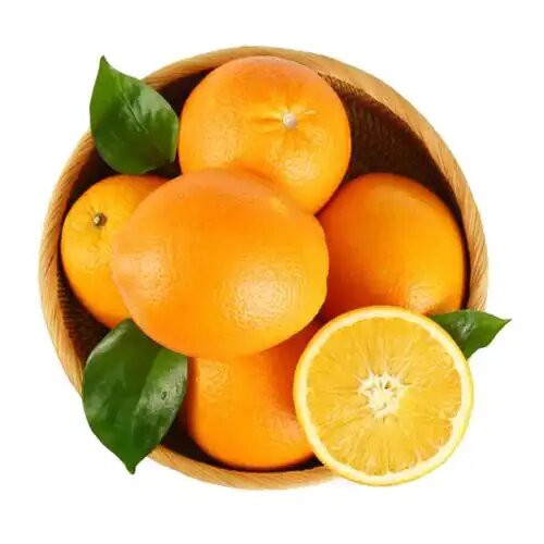 u3564111702208016954fm253fmtautoapp138fJPEG u3564111702208016954fm253fmtautoapp138fJPEG