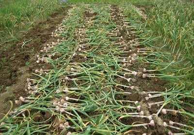 t0153c386d64eb83ffb t0153c386d64eb83ffb