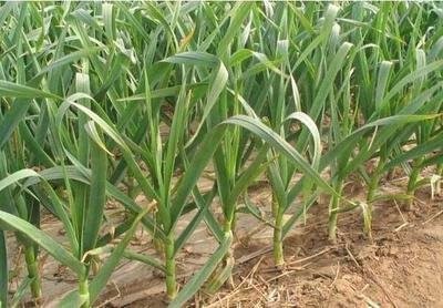 t01141dcce85b9be78a t01141dcce85b9be78a