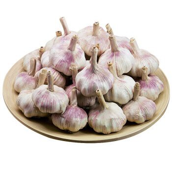 t019f8e57c1d7b617ca t019f8e57c1d7b617ca