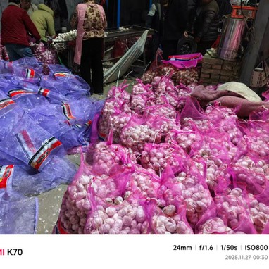 20251127091030111922 20251127091030111922