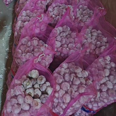 20251128102009112122 20251128102009112122