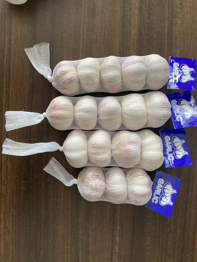 2025111315423126732 2025111315423126732