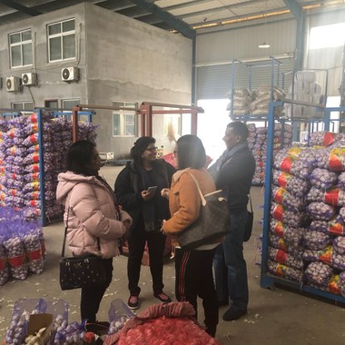 202106041703501 202106041703501