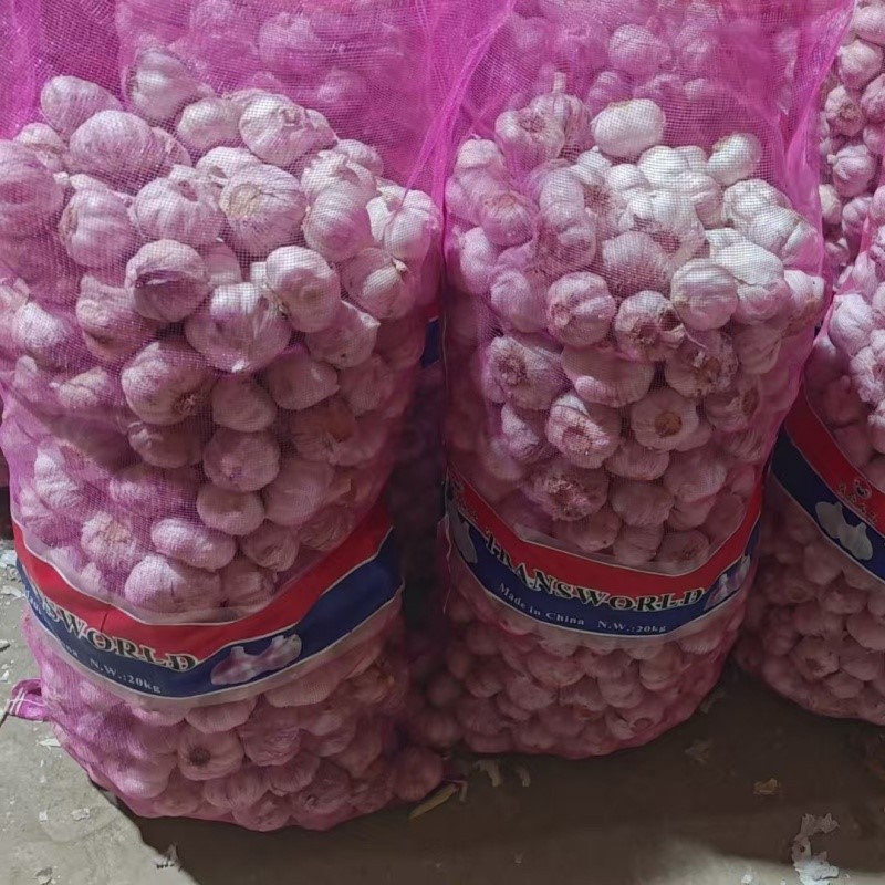 20251128102048112322 20251128102048112322