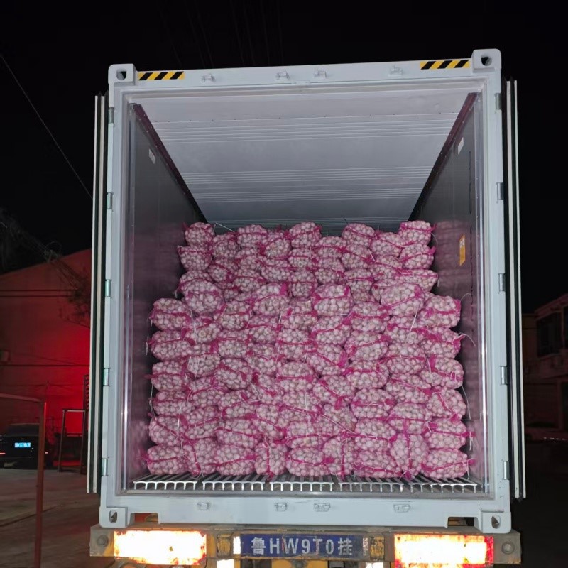 20251127091023111022 20251127091023111022