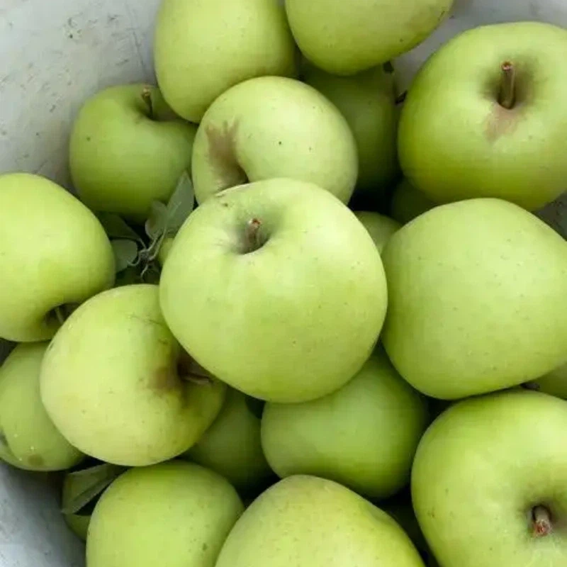 u18095590031967728650fm253fmtautoapp138fJPEG u18095590031967728650fm253fmtautoapp138fJPEG