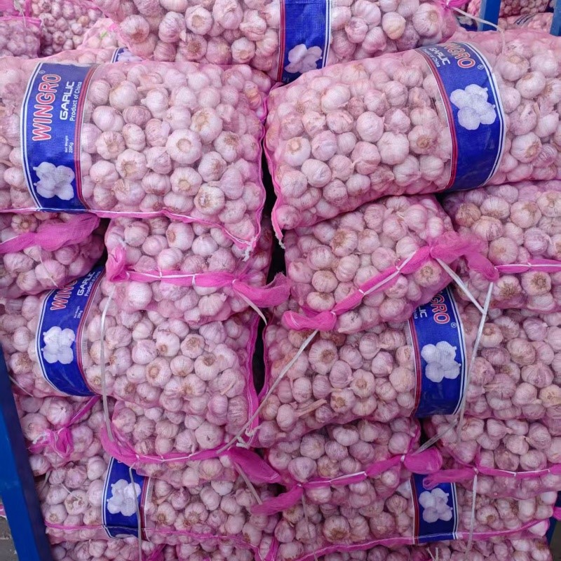 202601091352071522 202601091352071522