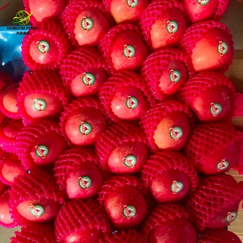 red apple red apple