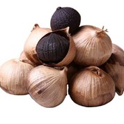 20kgs Carton Box Nwa Lay