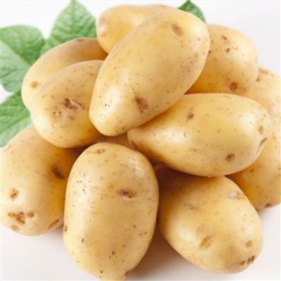 Lachin nouvo rekòt pòmdetè fre soti nan pwovens Shandong