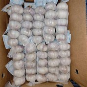 Ekspòtasyon pi blan lay