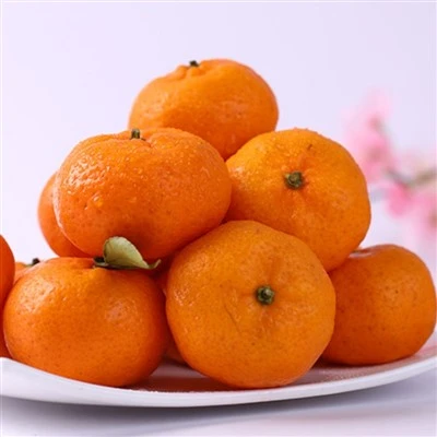 Size 50-55 Fresh Nanfeng Orange