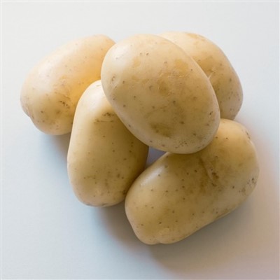 Tengzhou fre pòmdetè